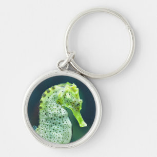 Een prachtig Knysna Seahorse Sleutelhanger