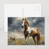 Een prachtig Pinto Paard Briefkaart (Voorkant / Achterkant)