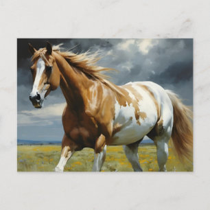 Een prachtig Pinto Paard in de wei Briefkaart