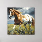 Een prachtig Pinto Paard in de wei Canvas Afdruk (Voorkant)
