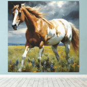 Een prachtig Pinto Paard in de wei Canvas Afdruk (Insitu (Houten vloer))