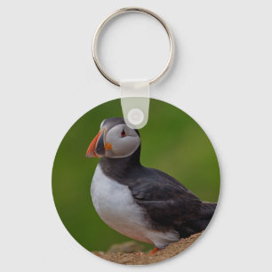 Eén Puffin Sleutelhanger