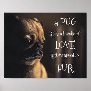 Een pug is een bundel liefdescadeautjes in vier poster