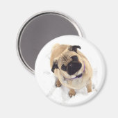 Een Pug magneet (Voorkant / Achterkant)