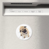 Een Pug magneet (Insitu (Vaatwasser))