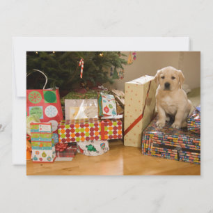 Een puppy zit onder de cadeaus van Kerstmis Feestdagenkaart