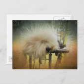 Een Ray van Sunshine. Briefkaart (Voorkant / Achterkant)