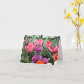 Een refrein van de Roze Kaarten van de Nota van (Gele Bloem)