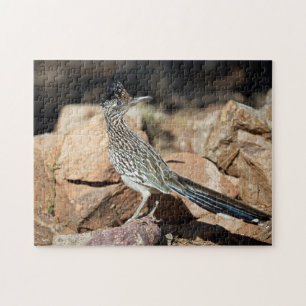 Een Renkoekoek pauzeert even tijdens zijn zoektoch Legpuzzel