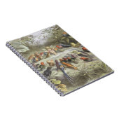 Een repetitie in Fairy Land, illustratie van 'In F Notitieboek (Rechterzijde)