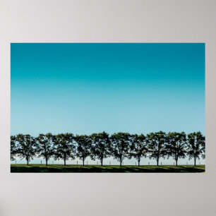 Een rij bomen op de top van een heuvel in Sugarcre Poster
