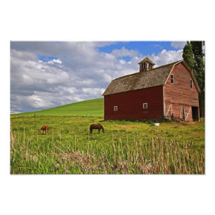 Een rit door het boerderij land Palouse 3 Foto Afdruk