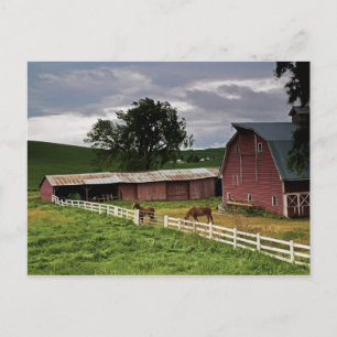 Een rit door het boerderij land Palouse 4 Briefkaart