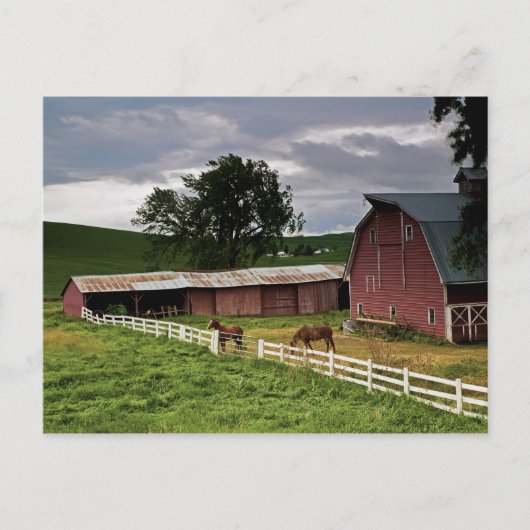 Een rit door het boerderij land Palouse 4 Briefkaart (Voorkant)