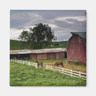 Een rit door het boerderij land Palouse 4 Magneet