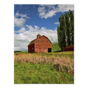 Een rit door het boerderij land Palouse Foto Afdruk