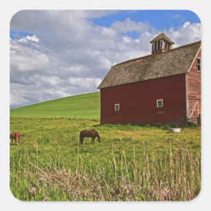 Een rit door het boerenland van Palouse 3 Vierkante Sticker