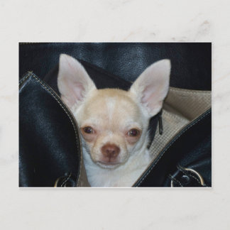 Een ritje maken briefkaart