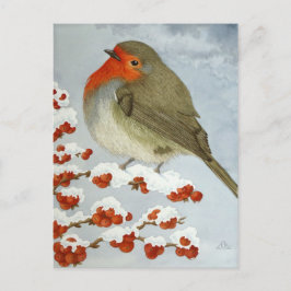 Een Robin en bessen in de sneeuw Briefkaart
