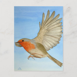 Een Robin in vlucht Briefkaart