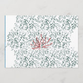 Een rode bloem op een zwarte achtergrond programma (Voorkant)