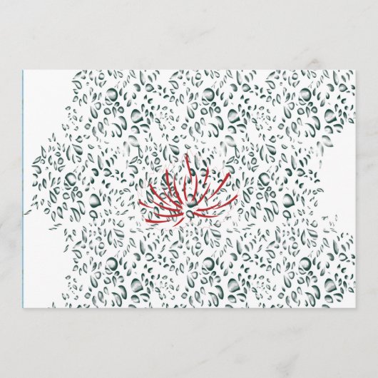 Een rode bloem op een zwarte achtergrond programma (Voorkant)