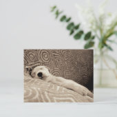 Een rode hond briefkaart (Staand voorkant)