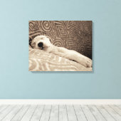 Een rode hond canvas afdruk (Insitu (Houten vloer))
