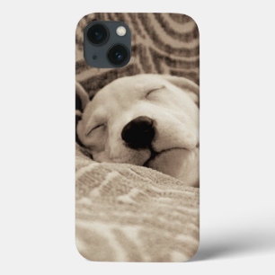 Een rode hond iPhone 13 hoesje