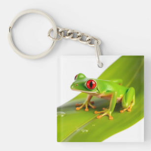 Een Rode Oog Boomkikker Sleutelhanger