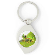 Een Rode Oog Boomkikker