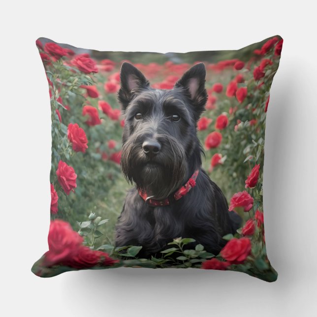 Een rode roos voor de zwarte Schotse terriër Kussen (Voorkant)