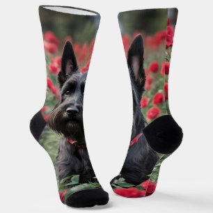 Een rode roos voor de zwarte Schotse terriër Sokken