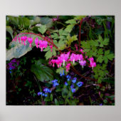 Een Romantisch Poster (Voorkant)