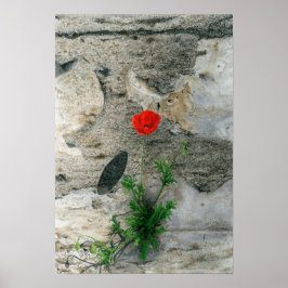 Eén ronde schaduw poster