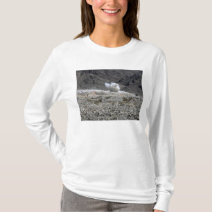 Een ronde van een AT-4 kleine raketwerper T-shirt