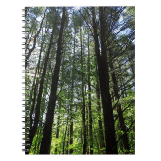 Een rondje in de Bossen Journal Notitieboek