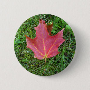 Één Rood Blad van de Esdoorn op gras Ronde Button 5,7 Cm