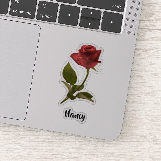 Eén rood knockout-Roos en stem-Florentijnse fotogr Sticker (Detail)