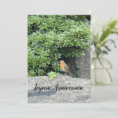 Een roodborstje (Staand voorkant)