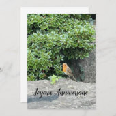 Een roodborstje (Voorkant / Achterkant)