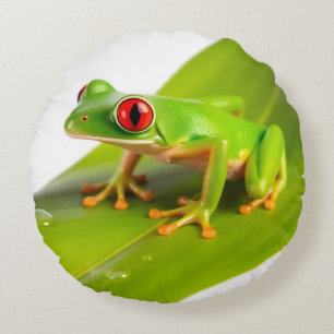 Een Roodogige Boomkikker Rond Kussen