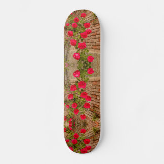 een roos klimt op een muur op skateboard