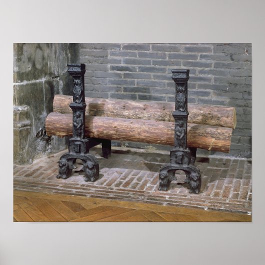 Een rooster poster (Voorkant)