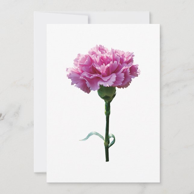 Eén roze anjer (Voorkant)