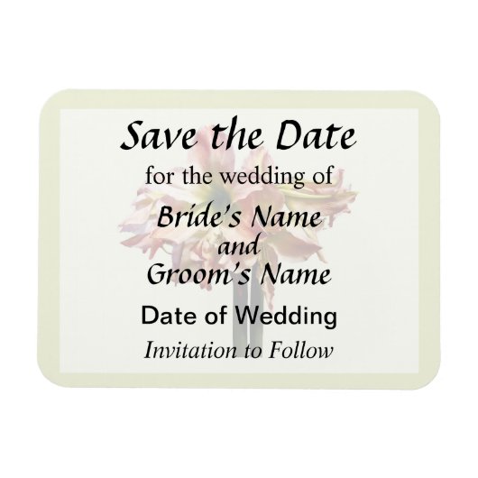 Een roze en witte Amaryllis sparen de Datum Magneet (Horizontaal)