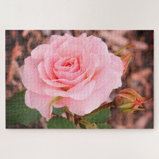 Een roze roos legpuzzel (Horizontaal)