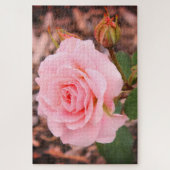 Een roze roos legpuzzel (Verticaal)