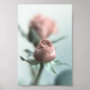 Een roze roos voor je lieveling... poster
