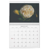 Een rozen kalender (Mar 2027)